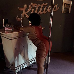 Lorena Mignonă escort in Bürstadt offers Finalizare pe Faţă services
