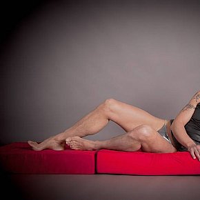 David escort in Antwerpen offers Sesso in posizioni diverse services