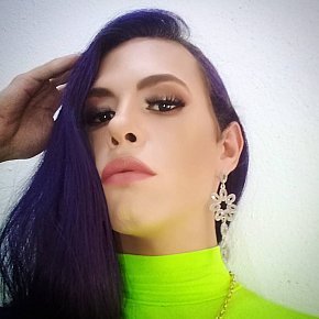 Lupita-gata escort in Praia Grande offers Sesso in posizioni diverse services
