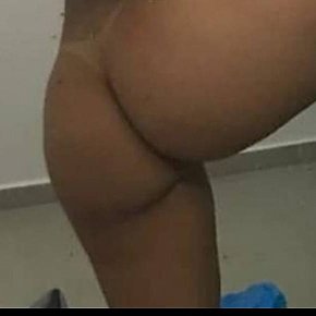 Emily-Goianinha escort in Sorocaba offers Sborrata in bocca services