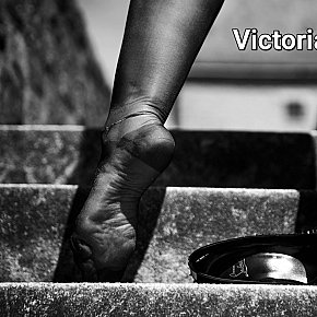 Victoria-Cristal Sin Operar escort in  offers Dominante (duro)
 services