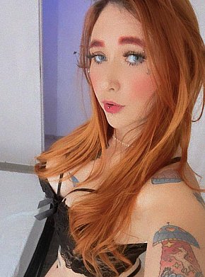 Ariele escort in Curitiba offers Küssen services