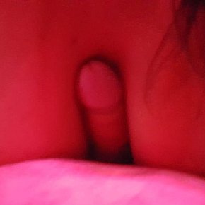 Tais-Ninf escort in São Paulo offers Blowjob ohne Kondom services