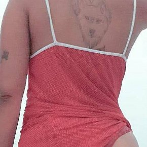 Morena-Ideal escort in Teresina offers Ejaculação no corpo (COB) services