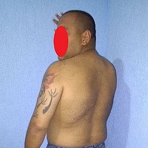 Gordinho Studentessa Al College escort in São Paulo offers Leccare e succhiare le palle services
