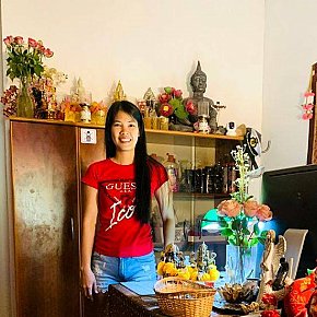 THAI-MASSAGE escort in  offers Massage sensuel intégral services