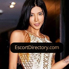Jessica escort in Medellín offers Dominatrix  (leve) services
