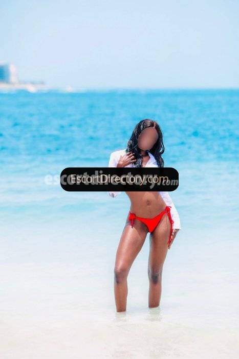 Luna escort in Brussels offers Submisso/Escravo (leve) services