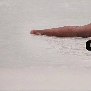 Luna escort in Brussels offers Submisso/Escravo (leve) services