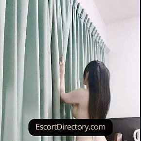 Mylinda Vip Escort escort in Singapore City offers Foto private services
