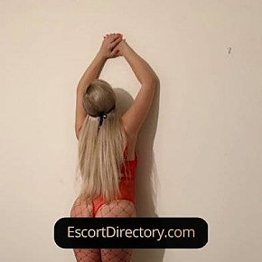Kate escort in Helsinki offers Doccia dorata (attivo) services