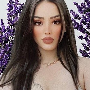 Haya escort in Beyrouth offers Masaje sensual de cuerpo completo
 services