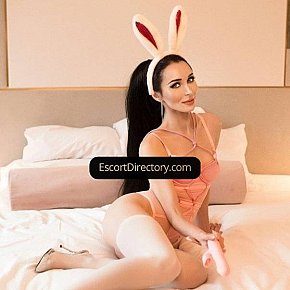 Lola escort in Wien offers Pipe sans capote services