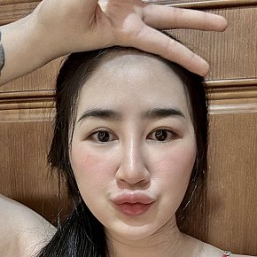 IDeer escort in  offers Masaje erótico
 services
