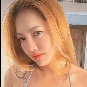 Suka Vip Escort escort in  offers Experience 