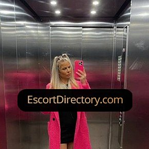 Ariaa Vip Escort escort in Amsterdam offers 69 Position services
