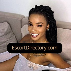 Sinal Vip Escort escort in Prague offers Hablar sucio
 services