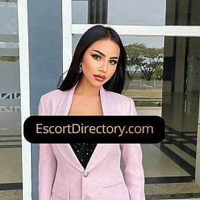Elysia Vip Escort escort in  offers Sexo en diferentes posturas
 services