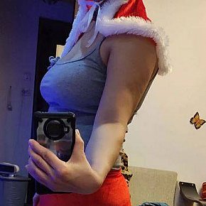 Niko Sâni Mari
 escort in Bucharest