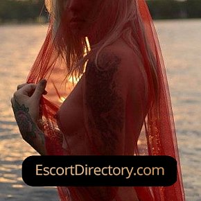 Ariana escort in Berlin offers Blowjob without Condom services
