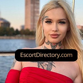 Ariana escort in Berlin offers Blowjob without Condom services