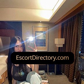 Bora-Kim Vip Escort escort in  offers Faz de conta e fantasias services