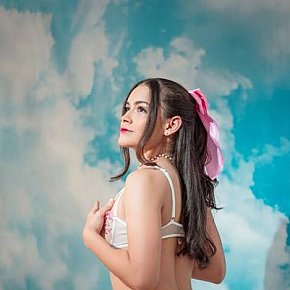 Saira Vip Escort escort in Amsterdam offers Beijar services
