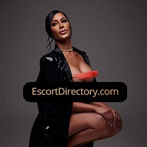 Amanda Vip Escort escort in  offers Experiencia de Novia (GFE)
 services