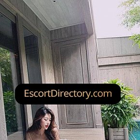 Kara Vip Escort escort in  offers Posição 69 services