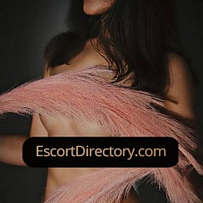 Ainhoa Vip Escort escort in  offers Masaje prostático
 services