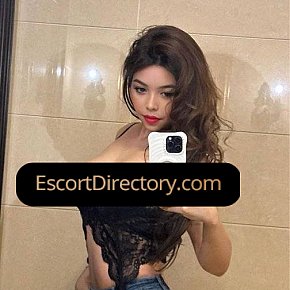 Kitty Vip Escort escort in  offers Posição 69 services