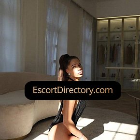 Lana Vip Escort escort in Amsterdam offers Golden Shower (give) services
