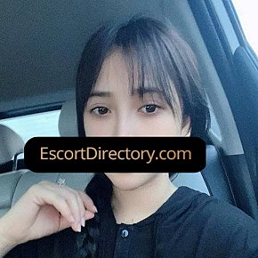Media Vip Escort escort in  offers Sex in versch. Positionen services