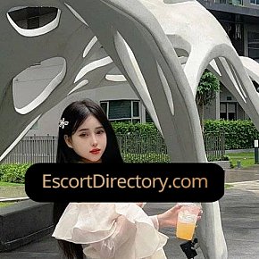 Media Vip Escort escort in  offers Sex in versch. Positionen services