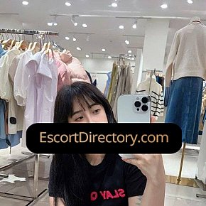 Media Vip Escort escort in  offers Sex in versch. Positionen services