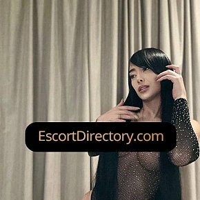Antonela Vip Escort escort in  offers Sexe anal services