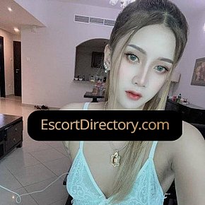 Sara Vip Escort escort in Dubai offers Esperienza Pornostar services