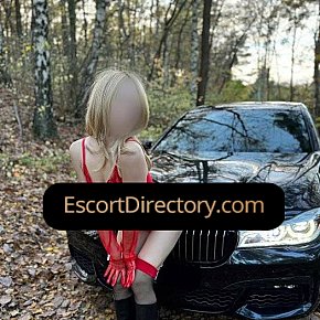 Michel Vip Escort escort in  offers Beso francés
 services