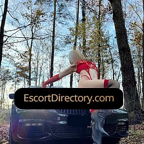 Michel Vip Escort escort in  offers Beso francés
 services