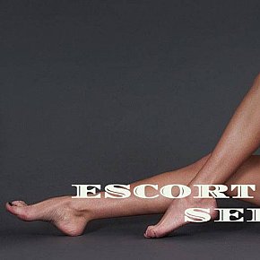 Vera-Escort-Warsaw Delicada escort in Warsaw offers Chupar e lamber o saco services