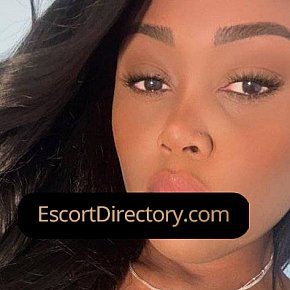 Perola Vip Escort escort in  offers 69 services