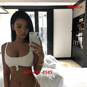 Monica Model/Fost Model escort in Toronto offers Anilingus(Activ) services