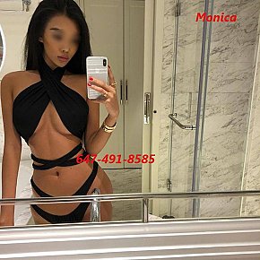 Monica Model/Fost Model escort in Toronto offers Anilingus(Activ) services