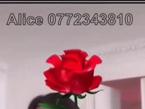 Alice0772343810 Fitness Girl escort in Boulogne-billancourt offers Masaj erotic services